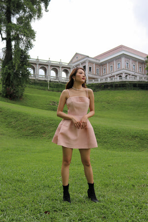 
                  
                    Load image into Gallery viewer, Mayson Skater Dress in Peach Pink
                  
                