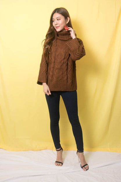 Sequea Knit Pullover in Brown
