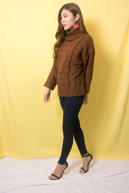 Sequea Knit Pullover in Brown