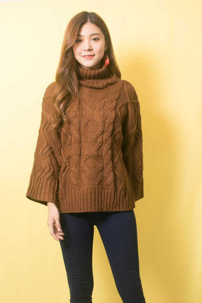 
                  
                    Load image into Gallery viewer, Sequea Knit Pullover in Brown
                  
                
