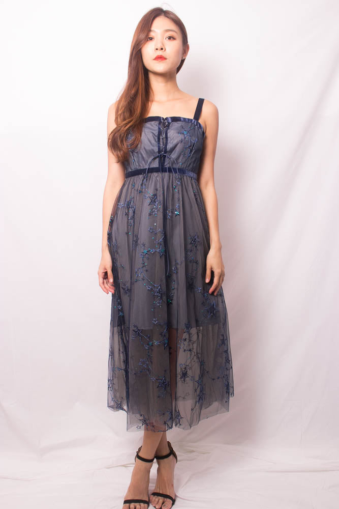 
                  
                    Load image into Gallery viewer, * LUXE * Starie Mesh Dress in Navy
                  
                