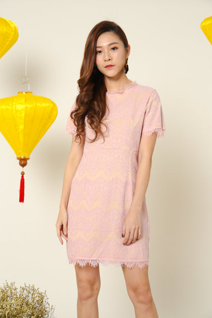 Eden Crochet Dress in Pink